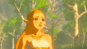 Nintendo The Legend of Zelda: Breath of the Wild Nintendo