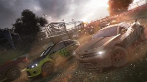 PS 4 Crew. Wild Run Edition PS 4