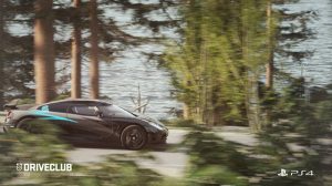 PS 4 Driveclub (Хиты PlayStation) PS 4