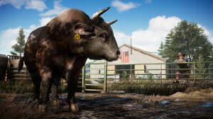 Xbox One Far Cry 5 Xbox One